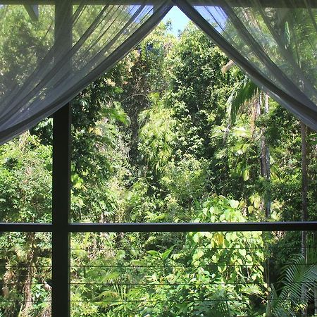 Silky Oaks Lodge Daintree Exterior photo