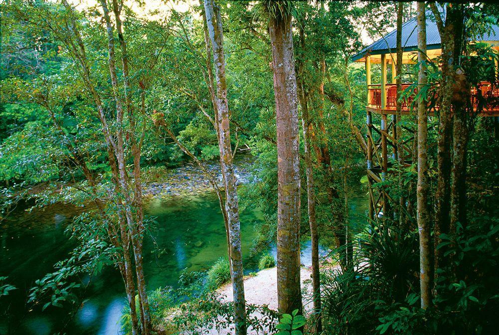 Silky Oaks Lodge Daintree Exterior photo