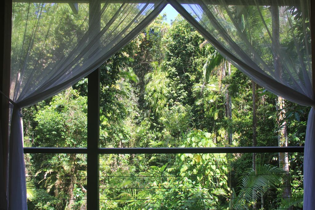 Silky Oaks Lodge Daintree Exterior photo